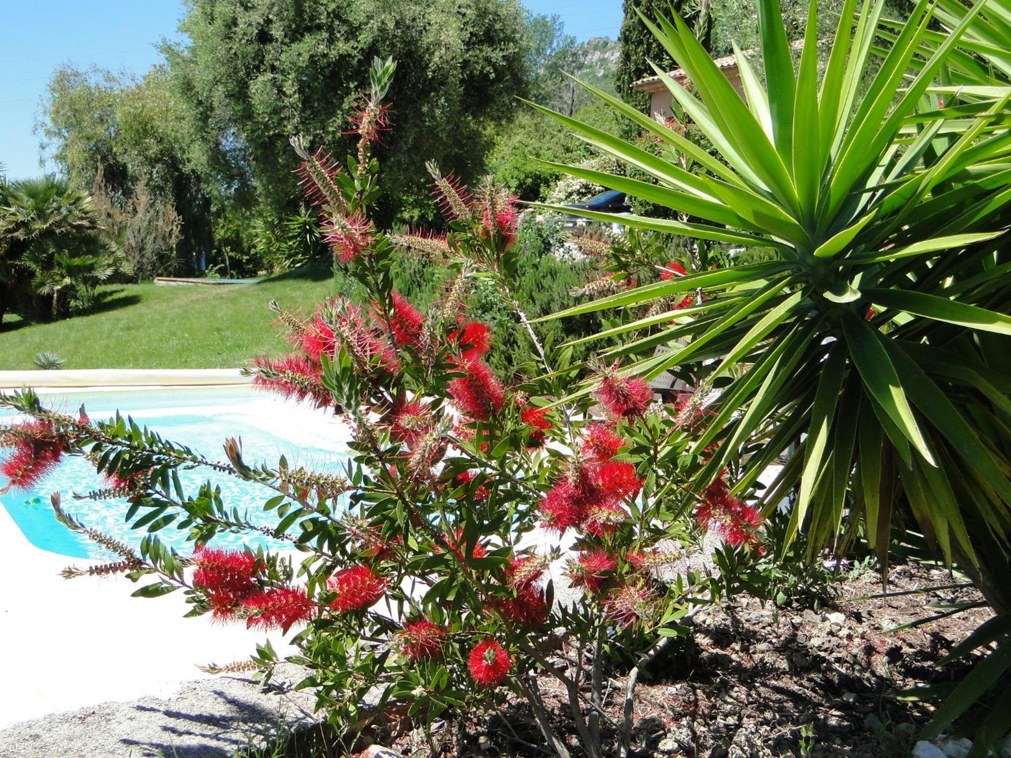 Villa Aurabelle Fuer Familien Und Geniesser Der Cote D'Azur Vence Exterior photo